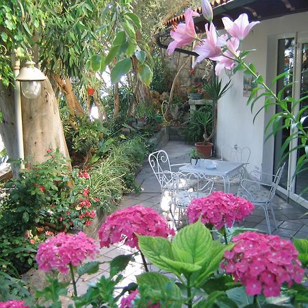 Hotel Europa Ischia Bagian luar foto